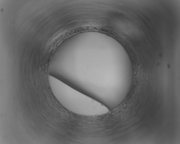 X0000052561015200507010814