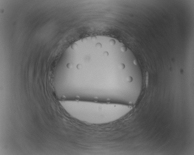 X0000052561059200507010814