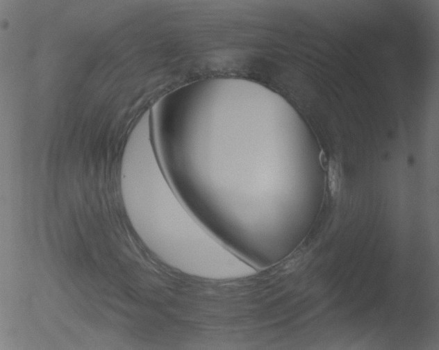 X0000052561107200507010812