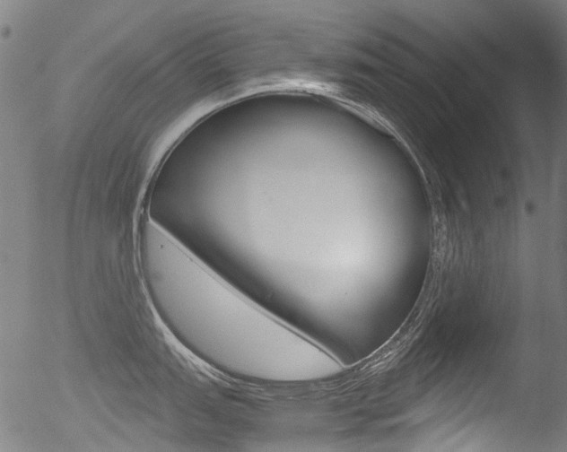 X0000052561151200507010813