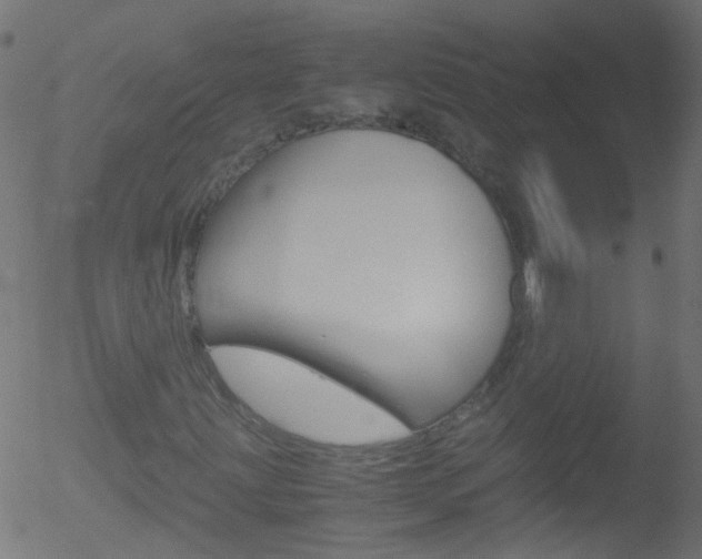 X0000052561203200507010811