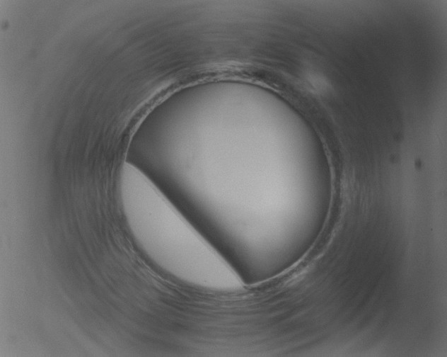 X0000052561209200507010811
