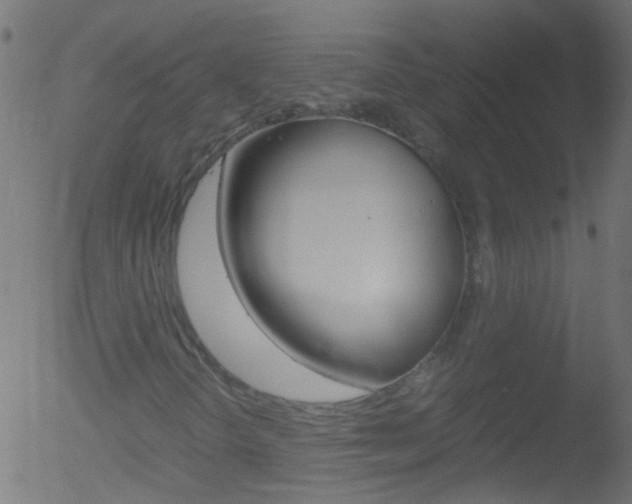X0000052561298200507010809