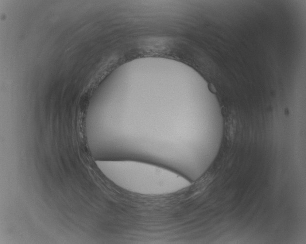 X0000052561346200507010809