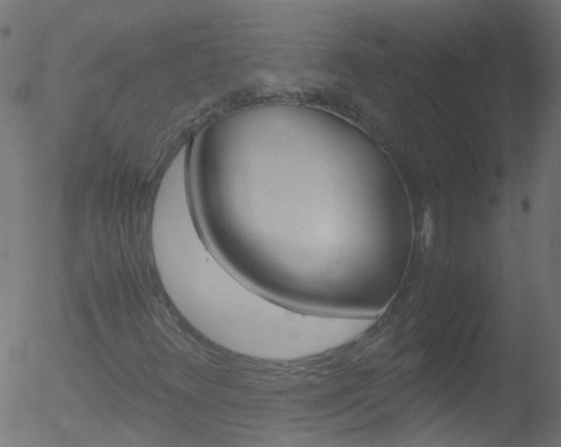 X0000052561348200507010809