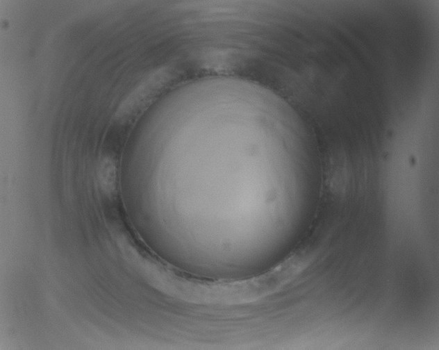 X0000052560036200507011207