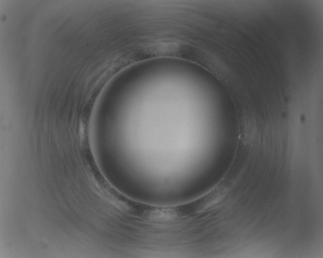 X0000052560077200507011206