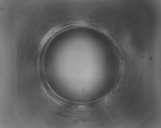 X0000052560151200507011204