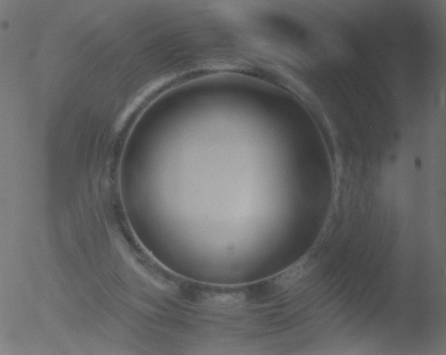 X0000052560155200507011204