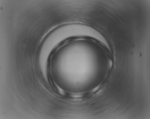 X0000052560156200507011204