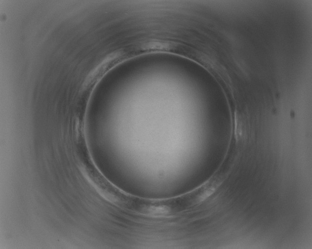 X0000052560157200507011204