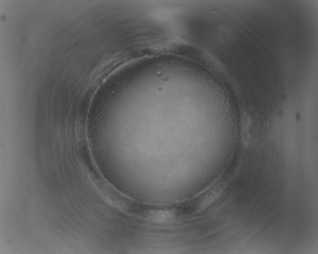 X0000052560161200507011204