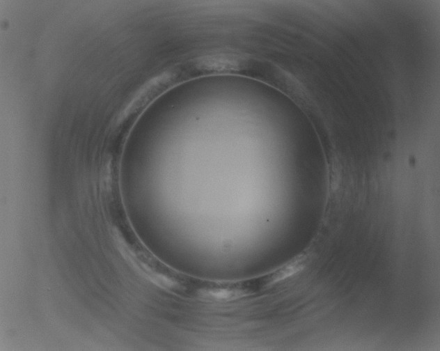 X0000052560163200507011204