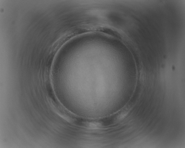 X0000052560165200507011204