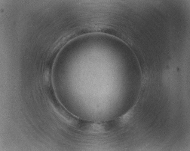 X0000052560166200507011204