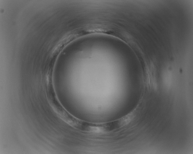 X0000052560167200507011204