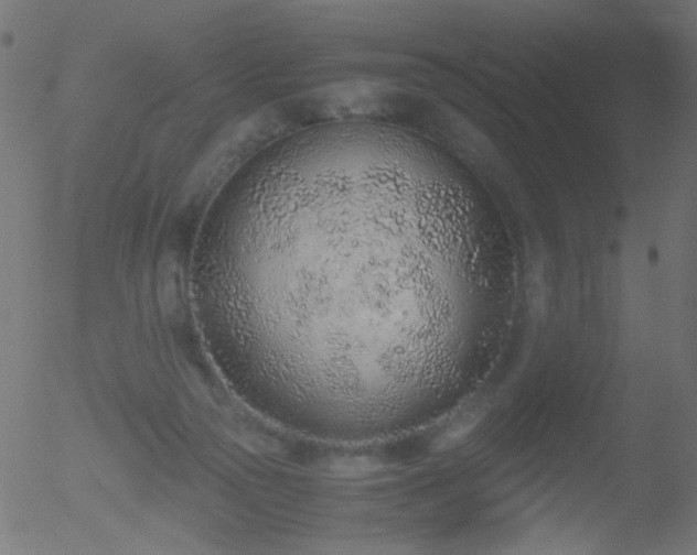 X0000052560169200507011204