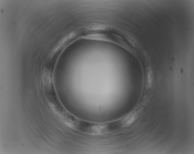 X0000052560172200507011204