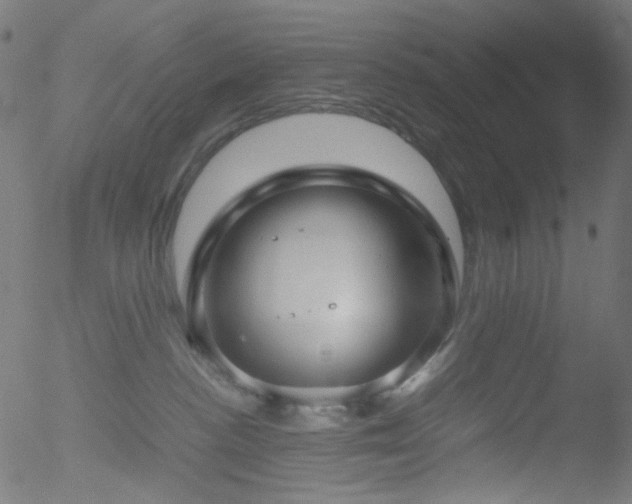 X0000052560188200507011205
