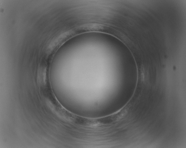 X0000052560206200507011204