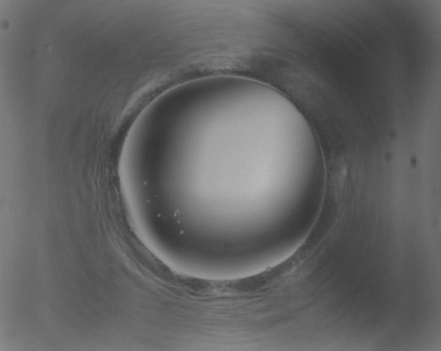 X0000052560207200507011204