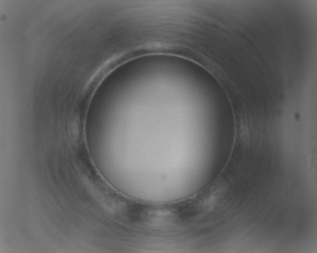 X0000052560208200507011204