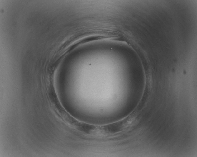 X0000052560211200507011204