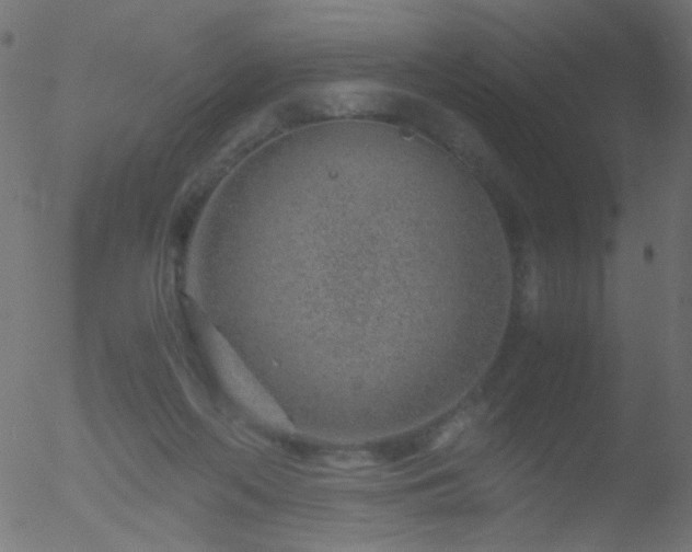 X0000052560214200507011204