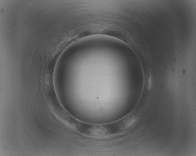 X0000052560215200507011204