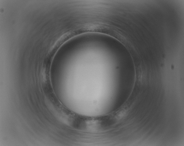 X0000052560216200507011204