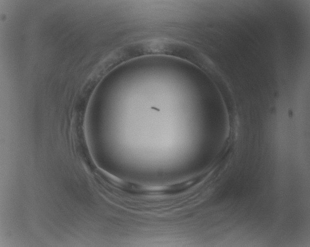 X0000052560217200507011204