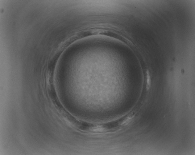 X0000052560219200507011204