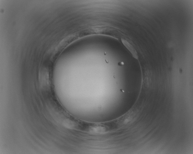 X0000052560220200507011204