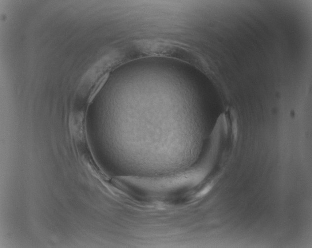 X0000052560239200507011203