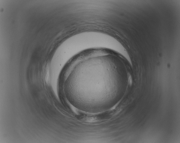 X0000052560507200507011159