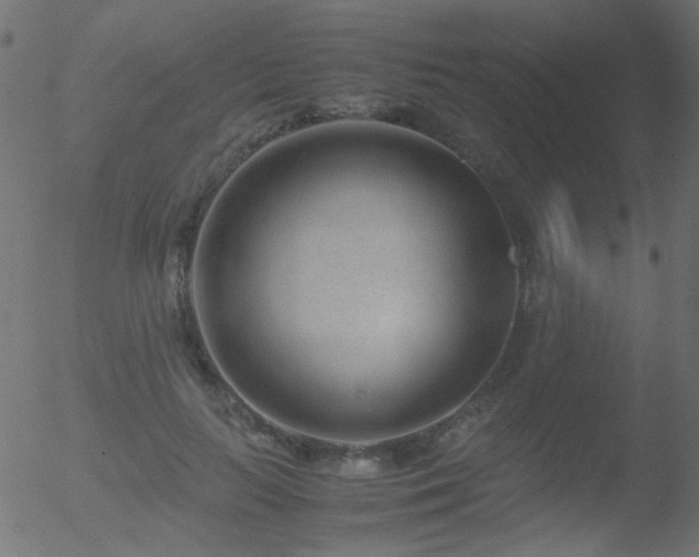 X0000052560647200507011156