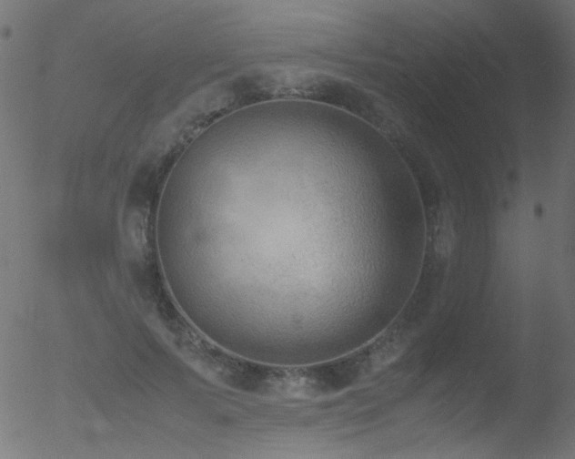 X0000052560695200507011156