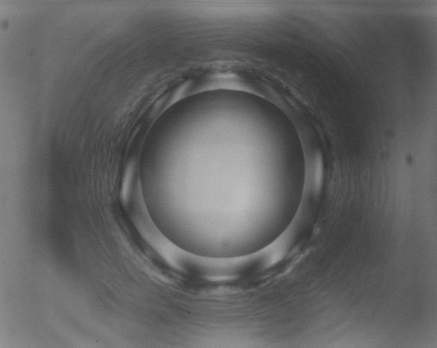 X0000052560750200507011155