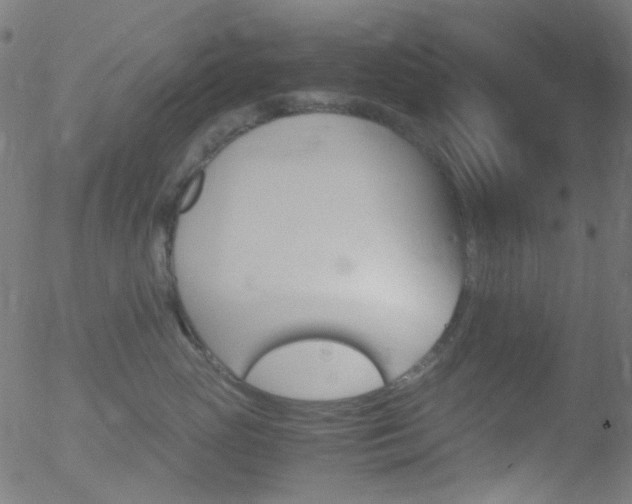X0000052560765200507011155