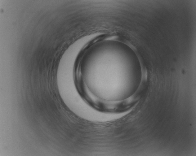 X0000052560818200507011153