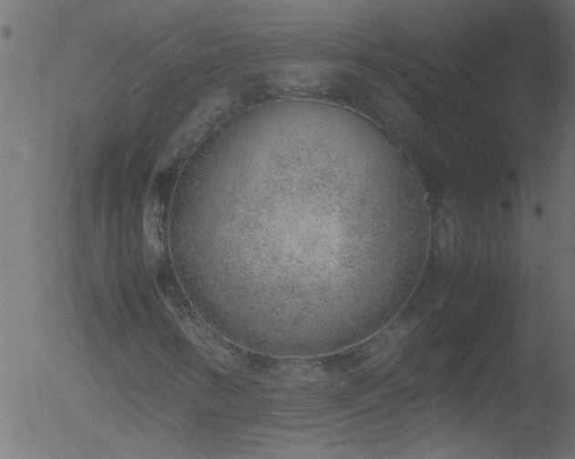 X0000052561346200507011145