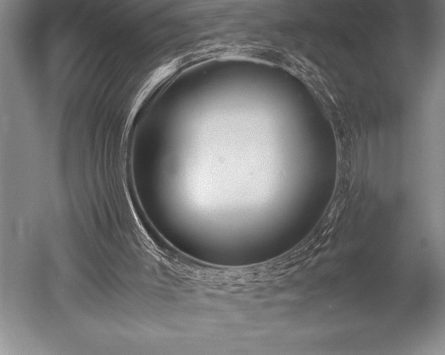 X0000052560003200507081648