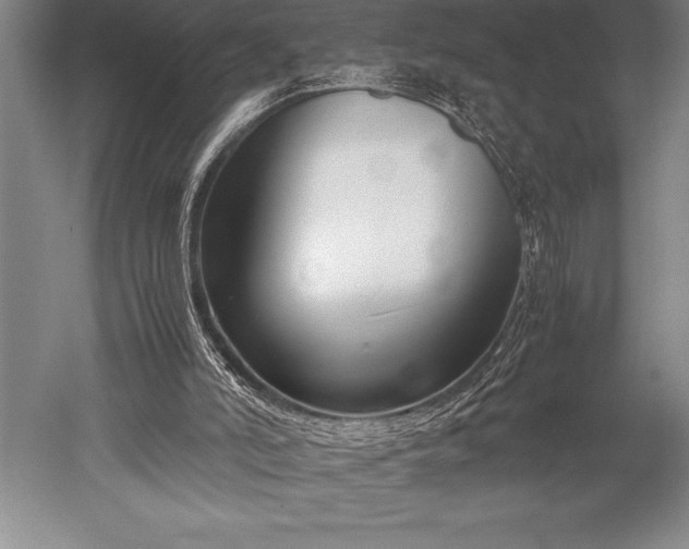 X0000052560006200507081648