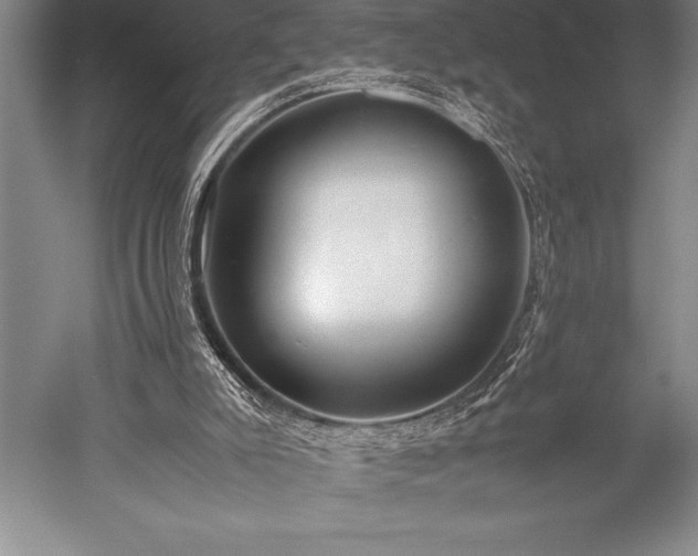 X0000052560007200507081648