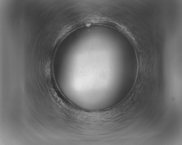 X0000052560010200507081647