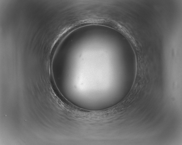 X0000052560011200507081647