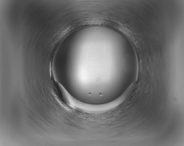 X0000052560013200507081647