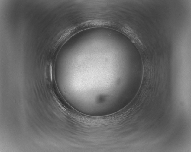 X0000052560014200507081647