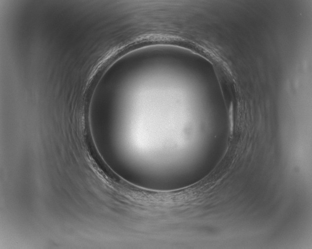 X0000052560015200507081647