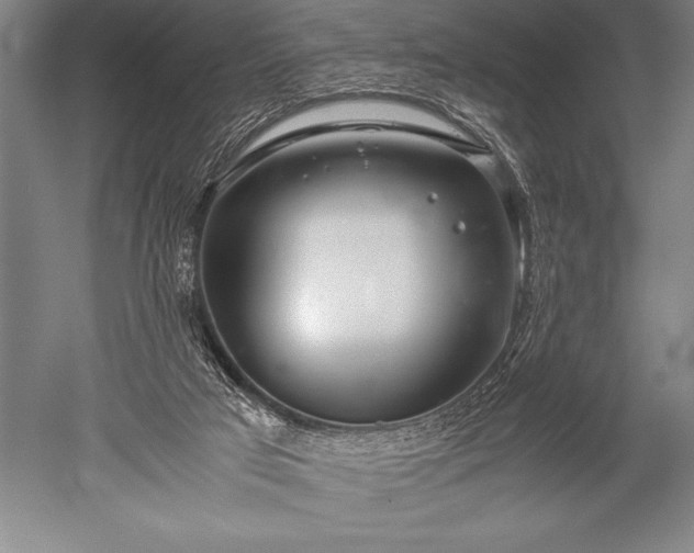X0000052560017200507081647
